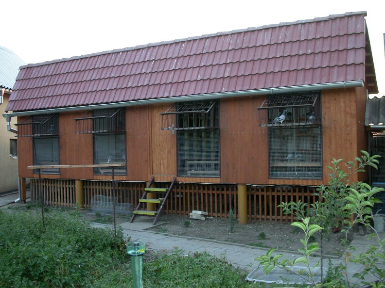 dscn0105.jpg